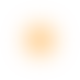 robito-content